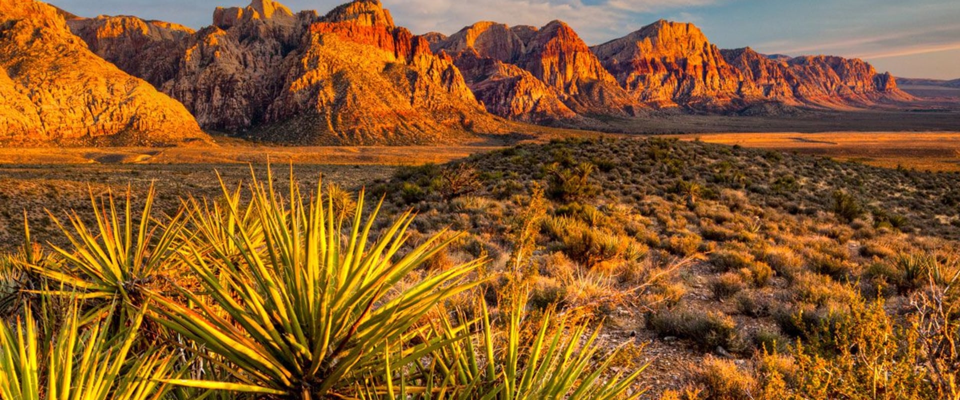 Exploring the Political Landscape of Las Vegas, Nevada