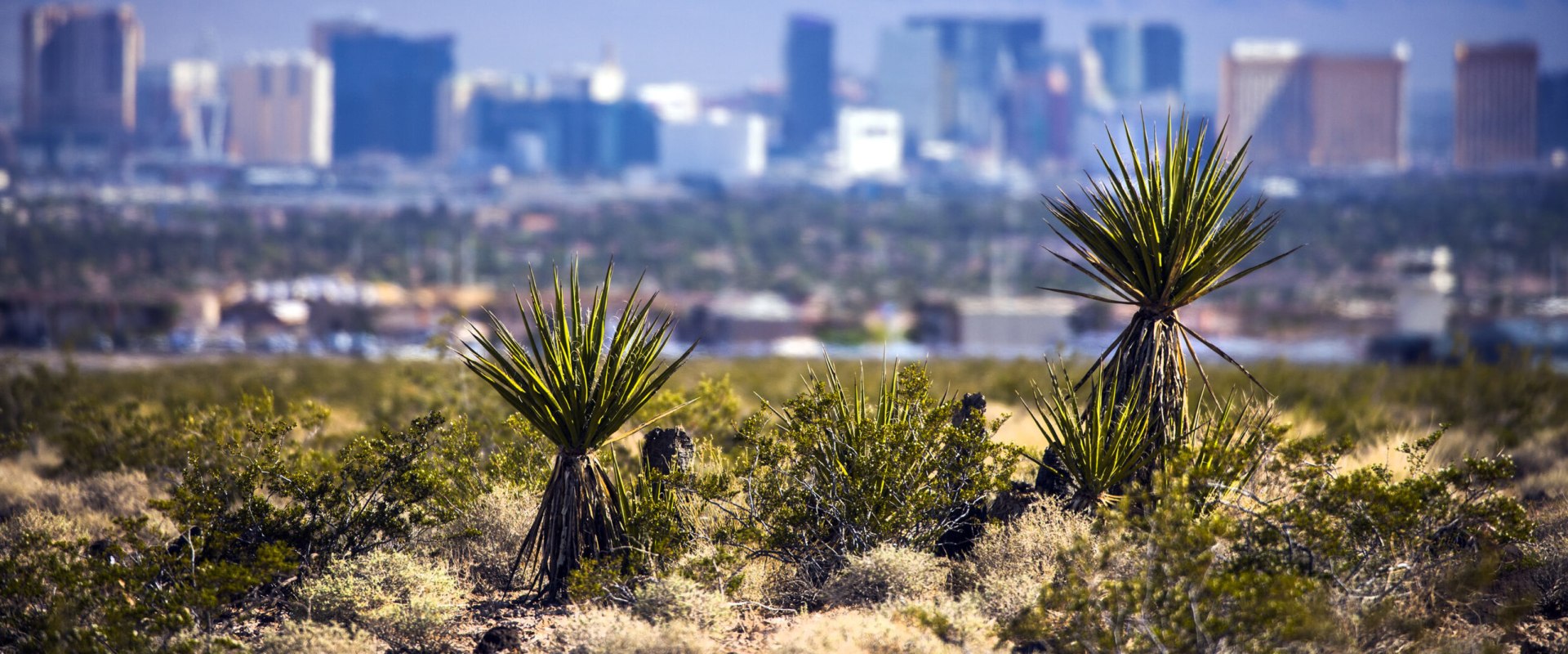 Political Climate in Las Vegas, Nevada: How It Has Changed Over Time