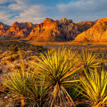 Exploring the Political Landscape of Las Vegas, Nevada