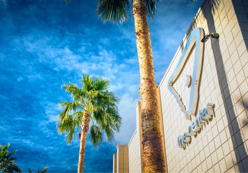 LGBTQ+ Community's Influence on Politics in Las Vegas, Nevada