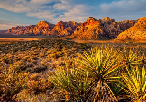 Exploring the Political Landscape of Las Vegas, Nevada