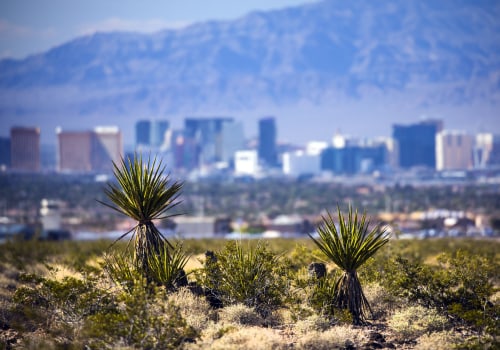 The Economy of Las Vegas: How it Impacts Political Decisions